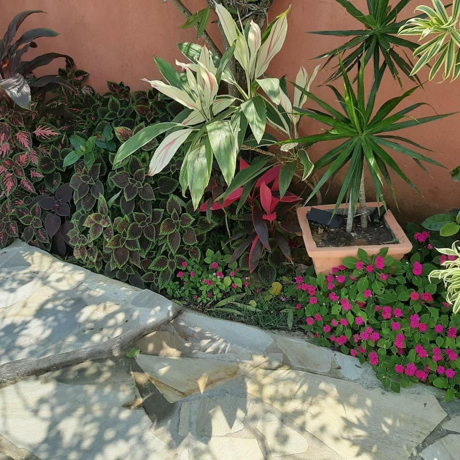 فيلا Ecco House Buzios المظهر الخارجي الصورة